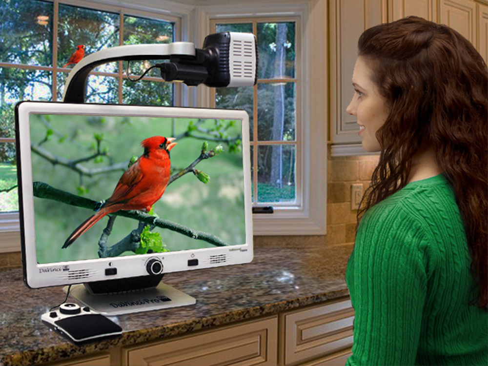 Woman using DaVinci Pro to look out the window at a red bird on a branch.